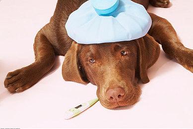 经典小说改编《时光之轮》游戏重制版登陆GOG商城